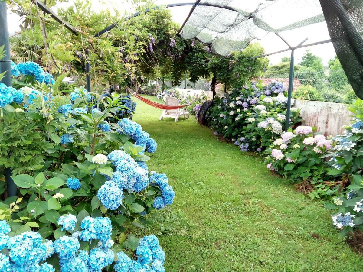 Quinta Da Ribeirinha Apartment Arouca Ngoại thất bức ảnh